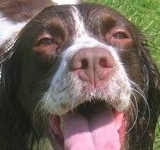 click for a larger view